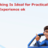 Why Barking Is Ideal for Practical Driving Experience